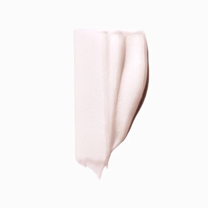 Chroma Absolu Chroma Filler Hair Mask